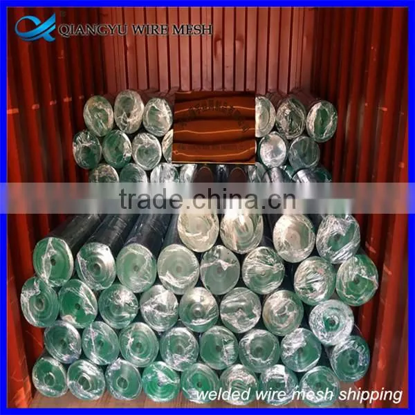 Construction Welded Wire Mesh, 6x6 Reinforcing Welded Wire Mesh, Galvanized Pvc Coated Welded Wire Mesh photo-6