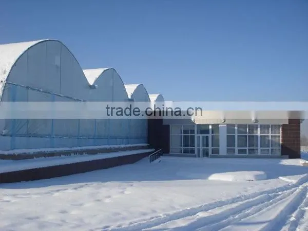 Film Greenhouse for Tomato and Other Vegetables photo-3