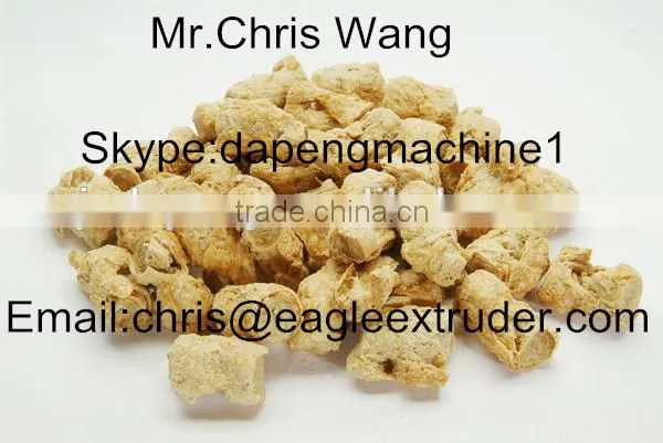 Soybean Extruder photo-2