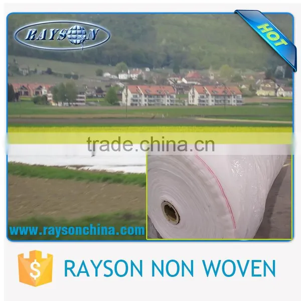 PP Spunbond Weed Control / Ground Cover / Landscape Fabric Wholesale photo-3