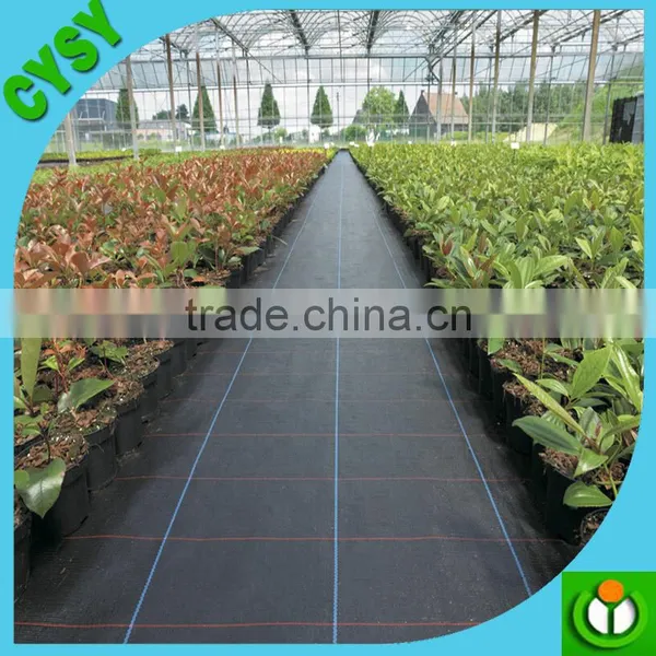 Weed Barrier Cloth,ground Covering Woven Fabric,agricultural Plant Anti Root Weed Mat photo-3