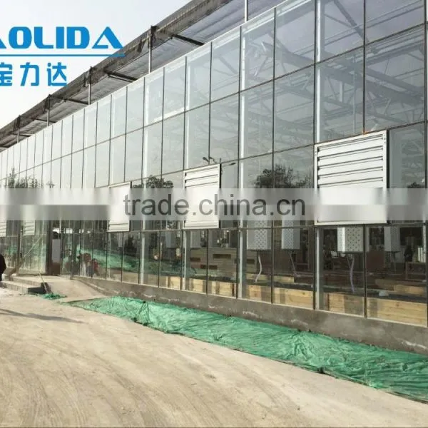 Multi-span Glass Tunnel Greenhouse photo-3