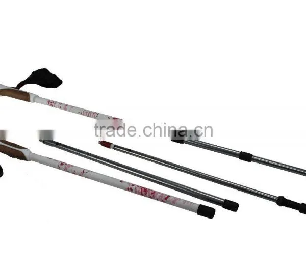 Nordic Walking Stick, Cheap Price, 3 Sections, Internal Lock, 6061 Aluminum SZ17007 photo-2