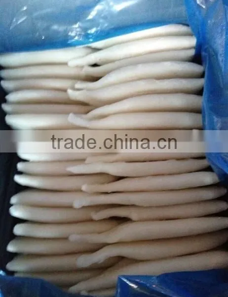 IQF/BQF Frozen Squid Tube photo-3