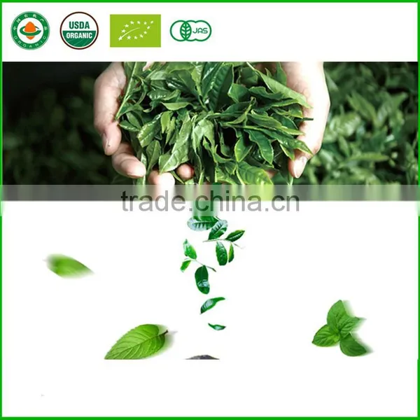 Gift Packing Chinese Mini Puer Tuo Cha Tea From Yunnan Province photo-4