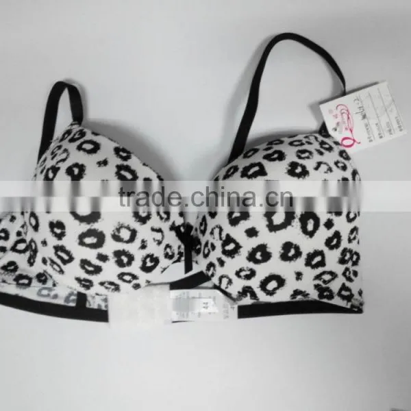 Sexy Leopard Print Bra and Panty Sexy Bikini Set photo-2