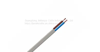 BS 6004 photo-2