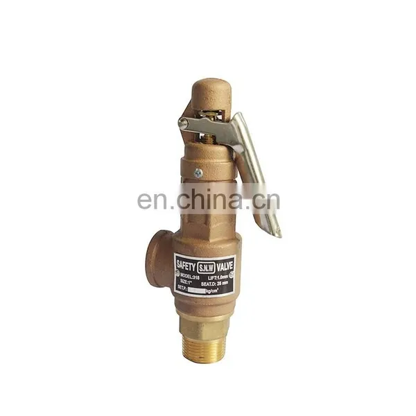 Hot Sale 1Inch Brass BSP Thread AC220V With Handle Safety Valve