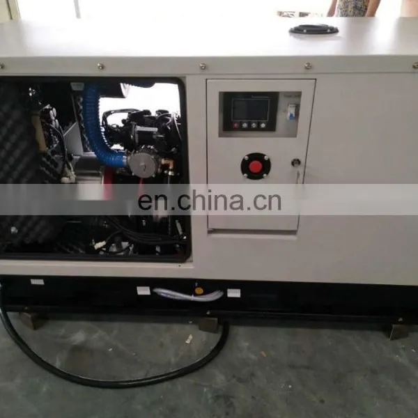 Made in China SCDC 10KW Biogas Generator Set photo-4