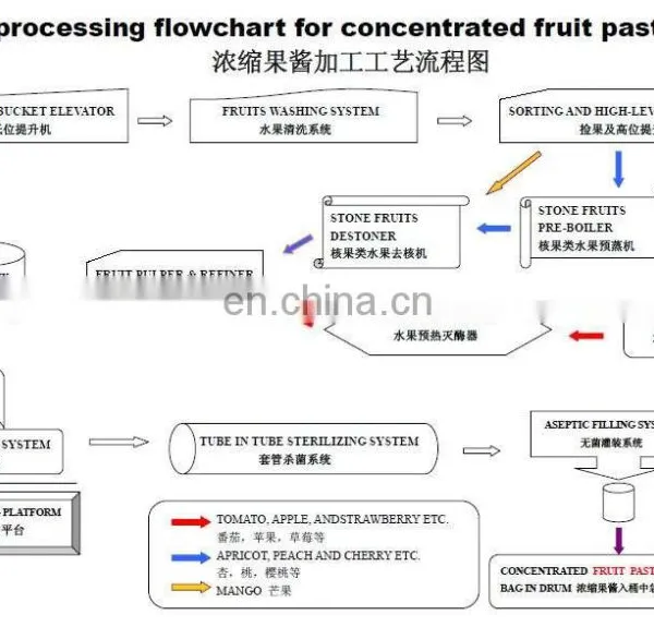 Factory Price Industrial Fruit Clean Washer Vegetable Washing Machine Processing Line photo-5