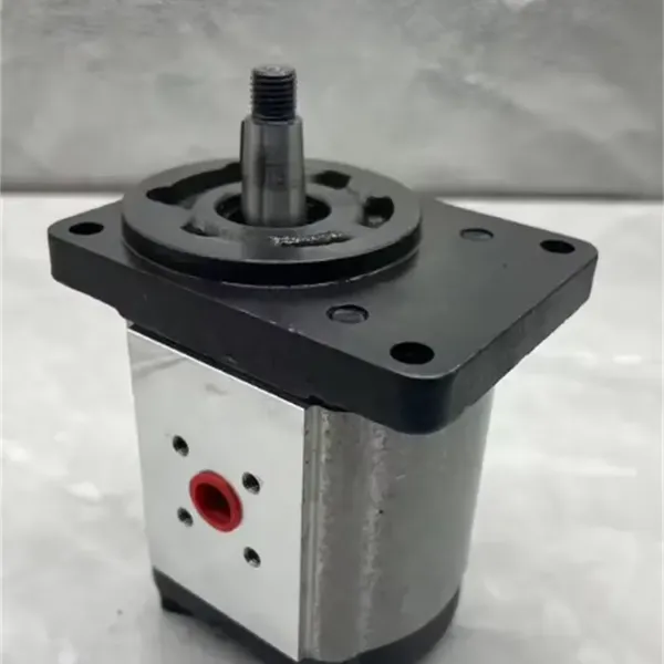 Hydraulic Pump PLP20.14-LOC-S7DFS-L-T AV -PV PLP20-25 PLP20-27.8 PLP20.25D0-82E2-LEB/EA-N-EL for Excavator photo-3