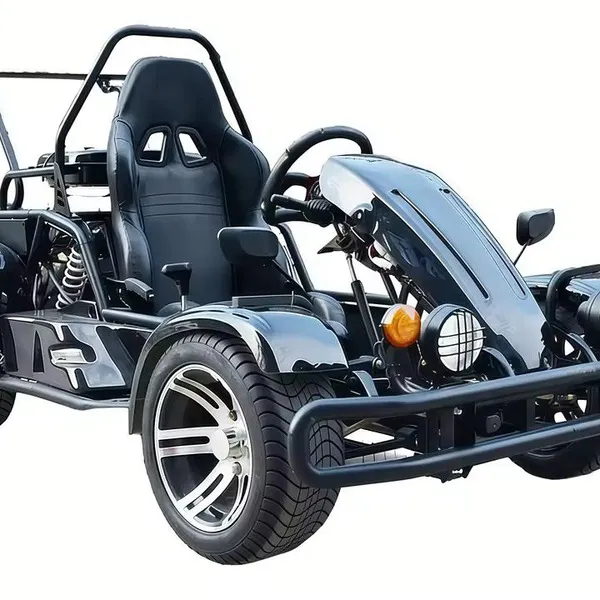 200cc 2 Seat Karts Amusement Park Cars Cheap Racing Go Kart For Sale