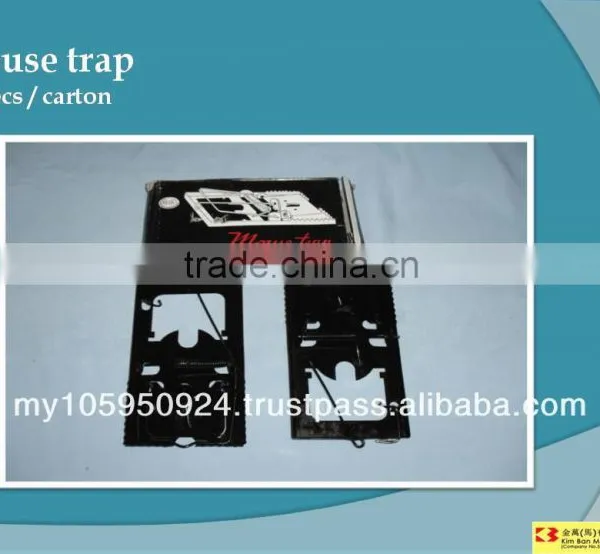 Mouse Trap