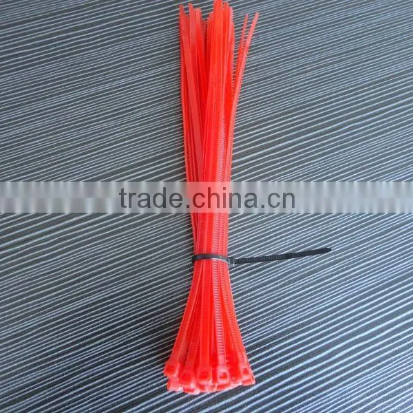 Nylon Cable Tie
