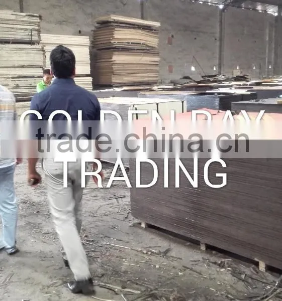 Marine Plywood/shuttering Plywood/Film Faced Plywood DANUBE CNBM CPLEX photo-4