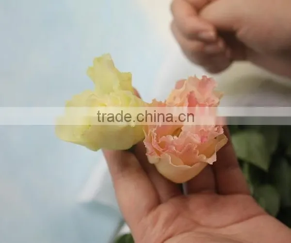Fresh Top Sell Wholesale Fresh Lisianthus Flower photo-4