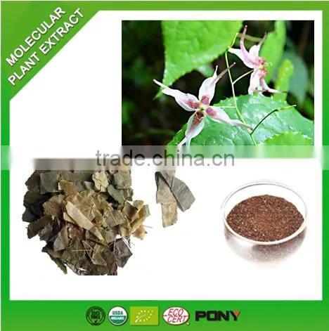 Herbal Supplement China Premium Epimedium Extract