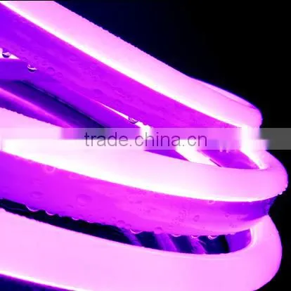 IP 65 UV Resistant Neon Lighting photo-5