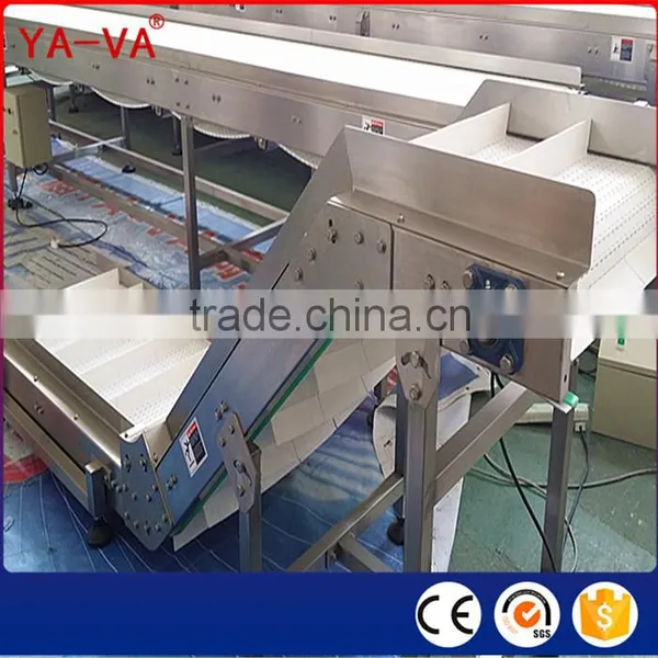 Food Grade Conveyor for Food Industry photo-2