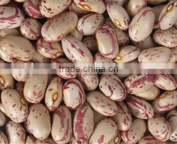 Speckled Kidney Beans With Hige Quality for Sale photo-6