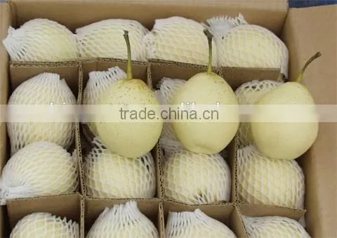 Supply Fresh Ya Pear With Good Quality for Sale photo-6