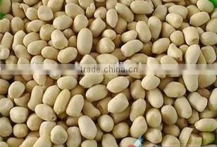 Chinese Blanched Peanut Kernels in Round Shape for Sale photo-4
