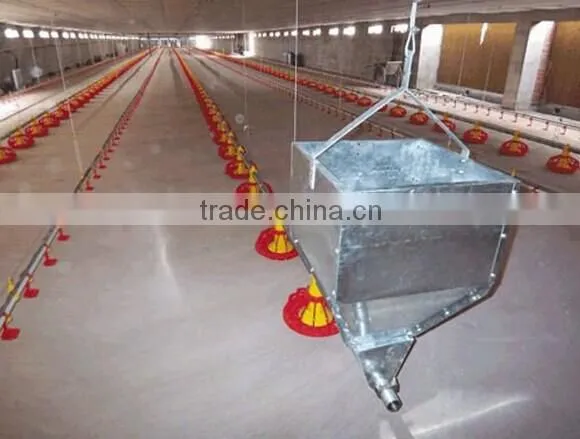 Poultry Farm Ground Raising Chicken Broiler Equipment photo-2