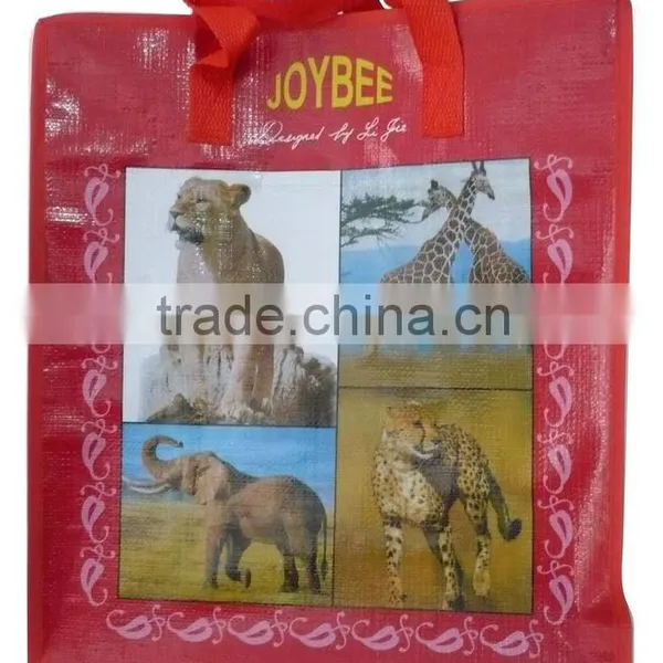 pp Zipper Shopping Bag With Nylon Handle Pvc Binding(2W-2043)