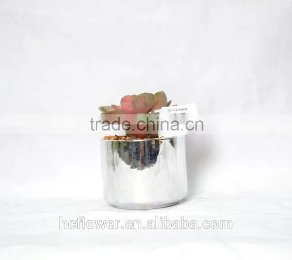 Indoor Derocation Artificial Succulent Plant With Ceramic Pot