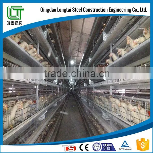 EPS Sandwich Panel Fire Proof Steel Structure Design Poultry Farm Shed photo-5