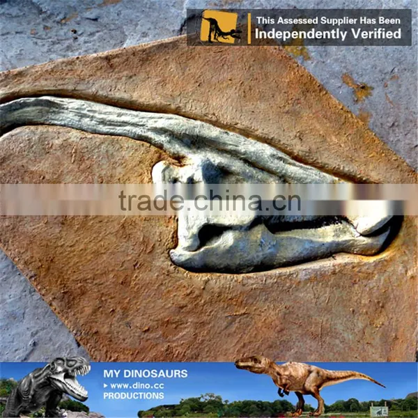 MY Dino-O11 Dinosaur Park Equipment Dinosaur Fossil Excavation Kit photo-5