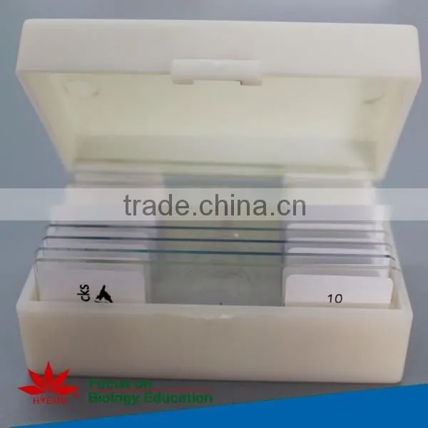 Individual Microscope Prepared Slides Medical Parasite Microscope Slides photo-5