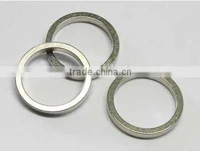 Cheap New Product Ring Bonded NdFeB Magnet photo-2