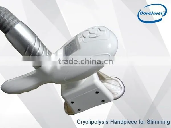 Corelaser Body Velashape Cavitation Slimming Machine / Vacuum Cavitation Slimming Machine for Sale photo-6