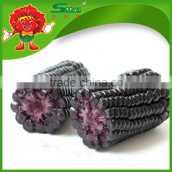 Sweet Yellow Corn/yellow Corn Price Yellow Corn for Human Consumption photo-3