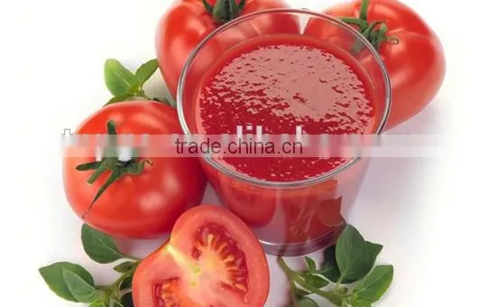 Bulk Tomato Paste Price High Quality