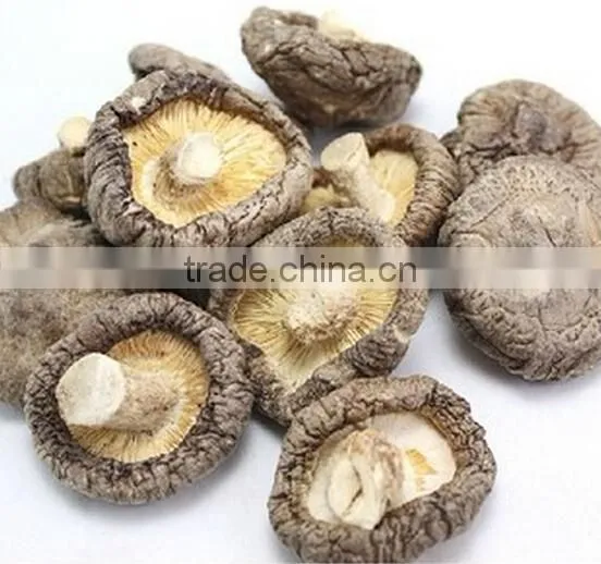 Fresh Shiitake Mushroom /high Quality Xianggu for Sale photo-4