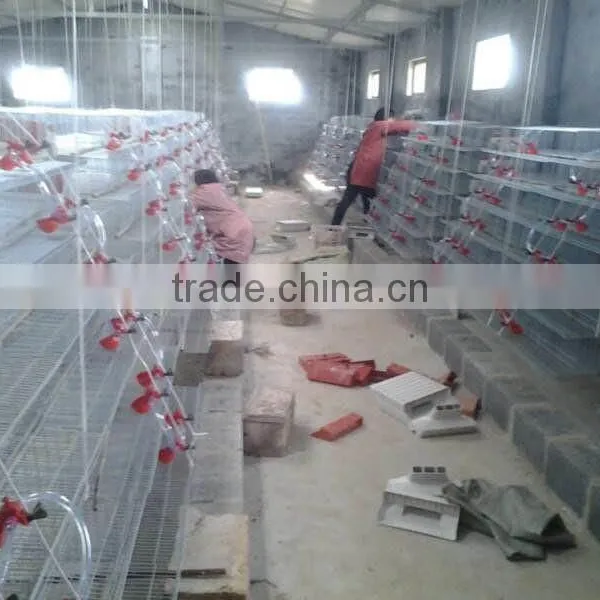 6 Tires 400 Automatic Quails Cage One Side/6 Tiers Two Sides 800 Quails Cages photo-2