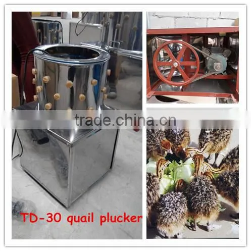 Equipment Poultry Algeria /poultry Farming Equipment