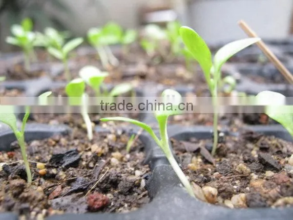 Cheaper Top Quality Best Price Plant Seed Starter Trays photo-4