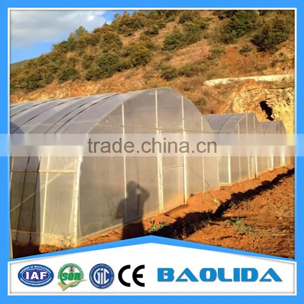 Single-Span Agricultural Planting Plastic Greenhouse photo-4