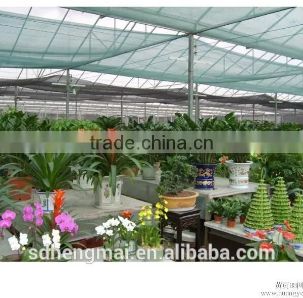 Agricultural Shade Net, Plastic Net, Green Shade Net,green Hourse,China Manufacture HDPE Shade Net, Plastic Net, pe Net photo-4