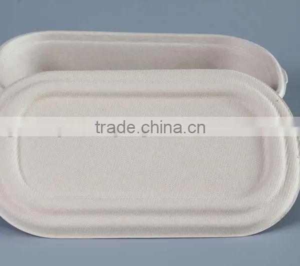 Biodegradable 1000ml Sugarcane Food Container With Separate Lid photo-6
