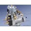 VE Pump-complete Pump