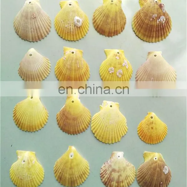 DIY Natural Seashell Color Style Charm Shell Accessories for Jewelry Finding photo-6