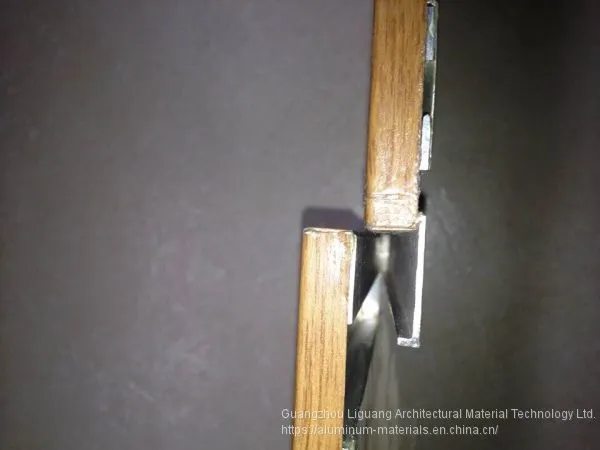 Самый новый дизайн. Материалы для строительной архитектуры. Покрытая алюминиевая панель