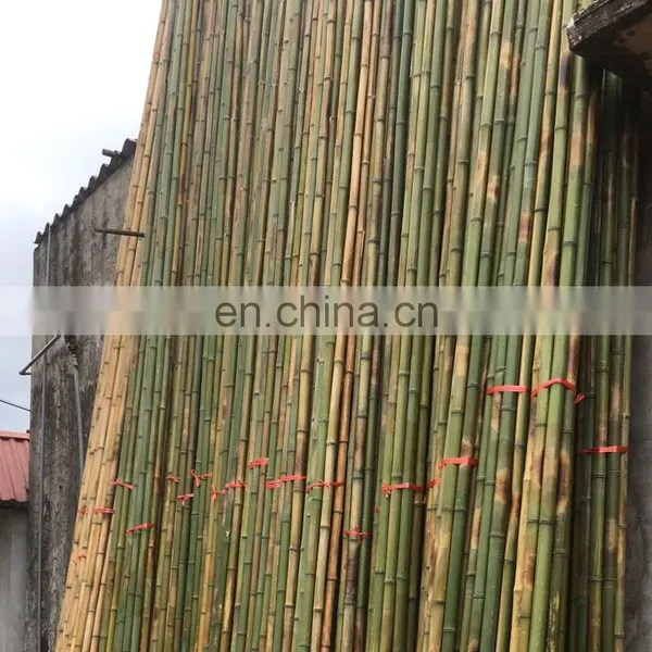 Cheapest Price High Quality Natural Raw Bamboo for Handmade Product/ Decor Furniture From Distributor in Viet Nam