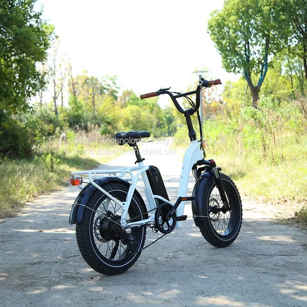 20 Inch Fat Bike/fat Tire Bicycle 750W