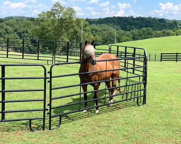 Cheap Galvanized Livestock Yard Horse Fence Corral Panel Horse Panel