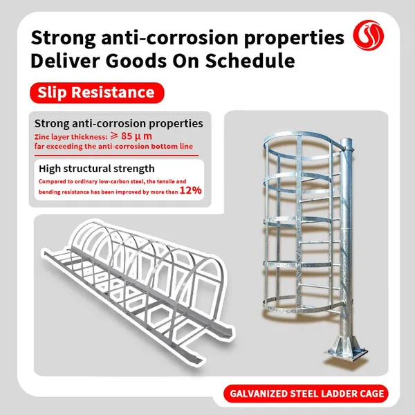 Climbing Ladder, Protective Cage, Galvanized Steel Sewage Well Ladder, External Wall Climbing Ladder, Safety Ladder, Platform Length Climbing Ladder